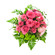 розовые розы с хризантемами. Ямайка
